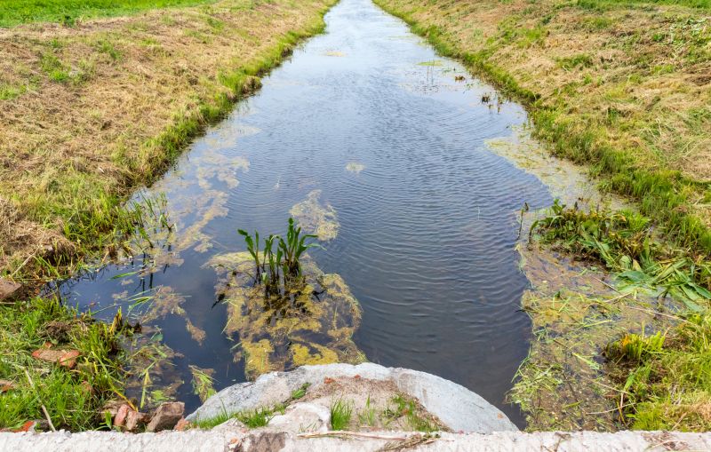 Drain Field Replacement